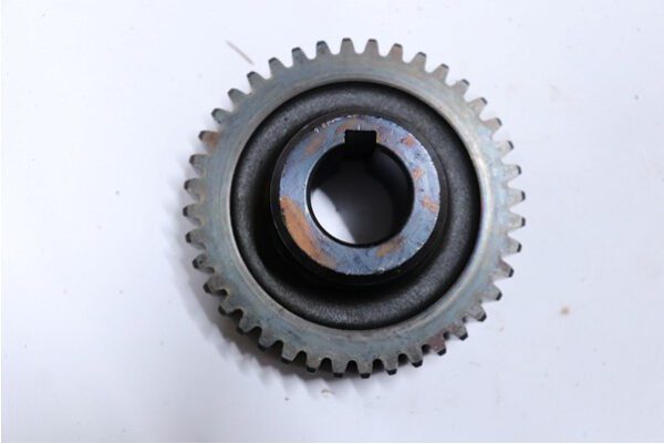 z5199361592603_7063323f7af3d5388f07484e63964b22